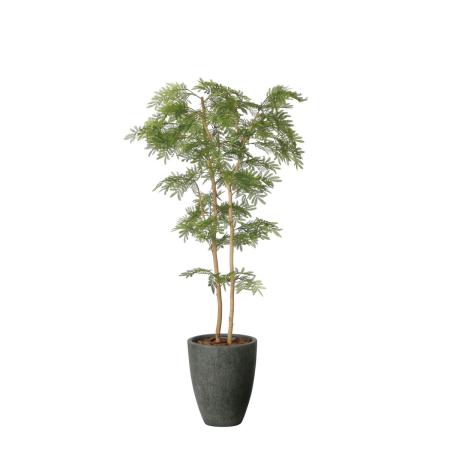 【直送】 【人工観葉植物】光の楽園/光触媒 ナチュラルねむの木1.8/2643A580 ※返品・代引・キャンセル不可