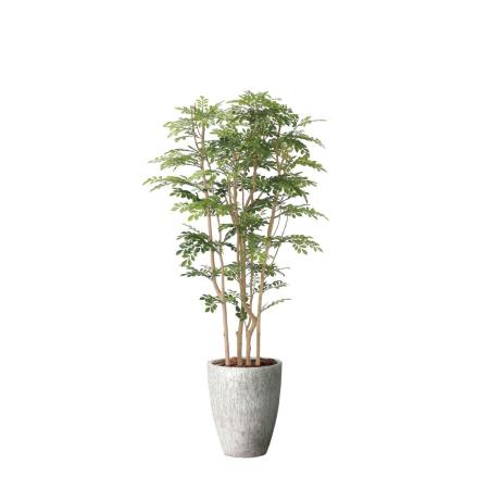 【直送】 【人工観葉植物】光の楽園/光触媒 ナチュラルツートントネリコ1.8/2644A850 ※返品・代引・キャンセル不可