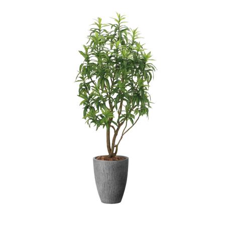 【直送】 【人工観葉植物】光の楽園/光触媒 ナチュラルフレッシュドラセナ1.8/2648A850 ※返品・代引・キャンセル不可