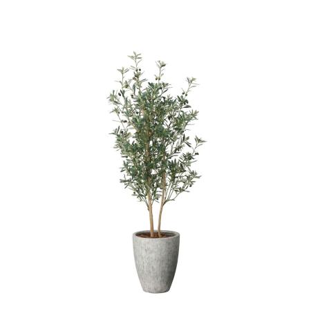 【直送】 【人工観葉植物】光の楽園/光触媒 ナチュラルオリーブ1.8/2613A750 ※返品・代引・キャンセル不可