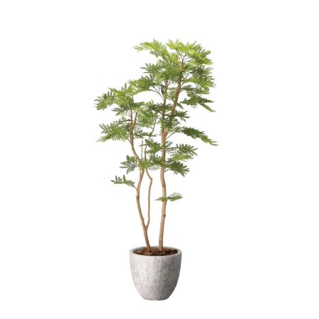 【直送】 【人工観葉植物】光の楽園/光触媒 ナチュラルねむの木1.6/2645A450 ※返品・代引・キャンセル不可