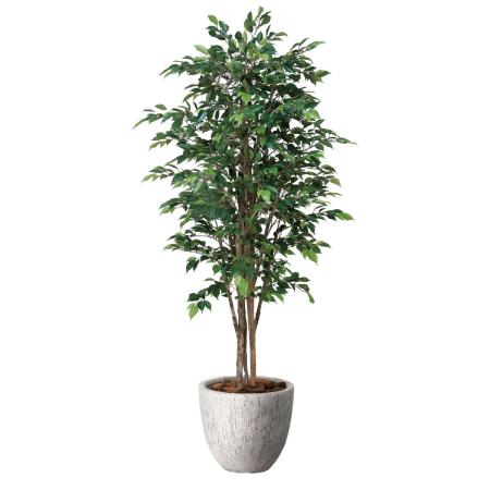 【直送】 【人工観葉植物】光の楽園/光触媒 ナチュラルロイヤルベンジャミン1.6/2650A600 ※返品・代引・キャンセル不可