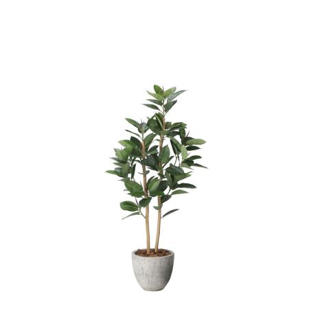 【直送】 【人工観葉植物】光の楽園/光触媒 ナチュラルゴムの木1.6/2626A530 ※返品・代引・キャンセル不可