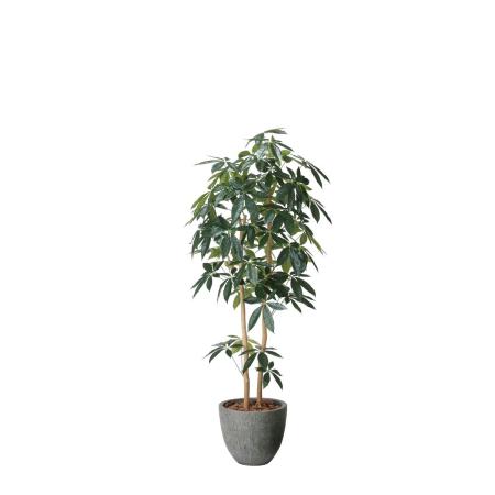 【直送】 【人工観葉植物】光の楽園/光触媒 ナチュラルパキラ1.6/2617A500 ※返品・代引・キャンセル不可