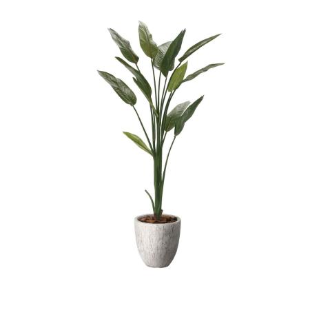 【直送】 【人工観葉植物】光の楽園/光触媒 ナチュラルストレチア1.6/2651A460 ※返品・代引・キャンセル不可