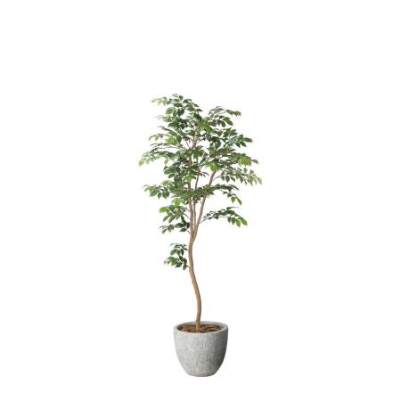 【直送】 【人工観葉植物】光の楽園/光触媒 ナチュラルマウンテンアッシュ1.6/2618A550 ※返品・代引・キャンセル不可