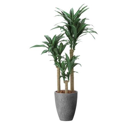 【直送】 【人工観葉植物】光の楽園/光触媒 ナチュラル幸福の木1.65/2502R660 ※返品・代引・キャンセル不可