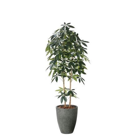 【直送】 【人工観葉植物】光の楽園/光触媒 ナチュラルDXパキラ1.8/2614A650 ※返品・代引・キャンセル不可