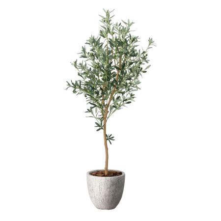 【直送】 【人工観葉植物】光の楽園/光触媒 ナチュラルオリーブ1.6/2649A620 ※返品・代引・キャンセル不可