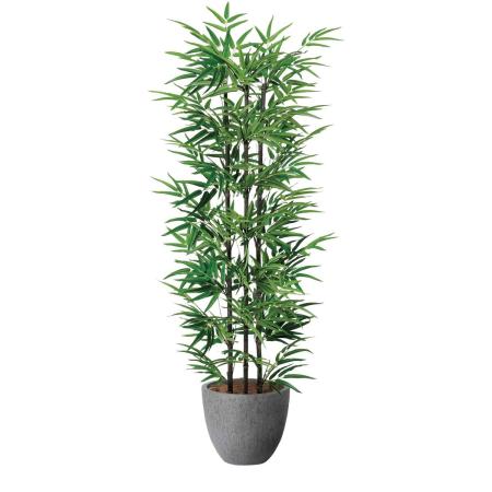 【直送】 【人工観葉植物】光の楽園/光触媒 ナチュラル黒竹1.6/2504R430 ※返品・代引・キャンセル不可