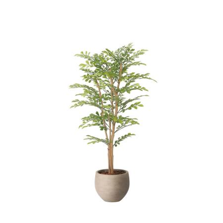 【直送】 【人工観葉植物】光の楽園/光触媒 ナチュラルライトトネリコ1.1/2410R280 ※返品・代引・キャンセル不可