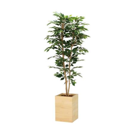 【直送】 【人工観葉植物】光の楽園/光触媒 ウッドボックスベンジャミン1.8/2301A520 ※返品・代引・キャンセル不可