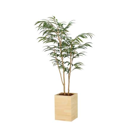 【直送】 【人工観葉植物】光の楽園/光触媒 ウッドボックスショウナンゴム1.8/2300A580 ※返品・代引・キャンセル不可