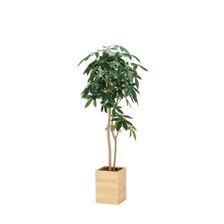 【直送】 【人工観葉植物】光の楽園/光触媒 ウッドボックスパキラ1.6/2309R450 ※返品・代引・キャンセル不可