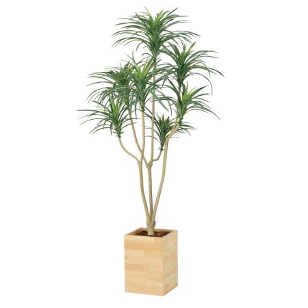 【直送】 【人工観葉植物】光の楽園/光触媒 ウッドボックスユッカ1.6/2640A470 ※返品・代引・キャンセル不可