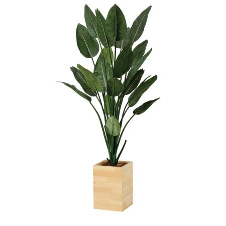 【直送】 【人工観葉植物】光の楽園/光触媒 ウッドボックスストレチアW1.6/2638A620 ※返品・代引・キャンセル不可