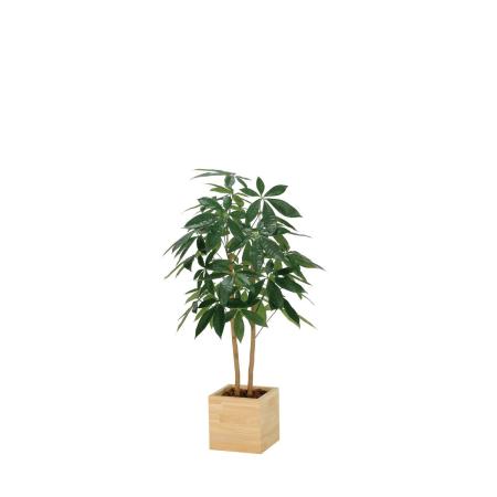 【直送】 【人工観葉植物】光の楽園/光触媒 ウッドボックスパキラ1.0/2305R230 ※返品・代引・キャンセル不可