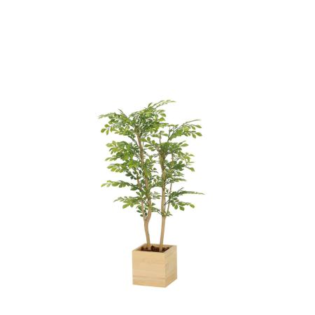 【直送】 【人工観葉植物】光の楽園/光触媒 ウッドボックスライトトネリコ1.0/2306R280 ※返品・代引・キャンセル不可