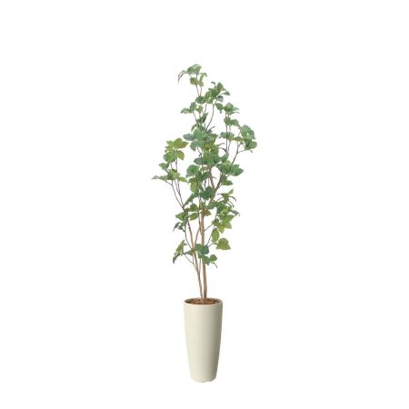 【直送】 【人工観葉植物】光の楽園/光触媒 スリムサラサドウダン1.7/2515R360 ※返品・代引・キャンセル不可