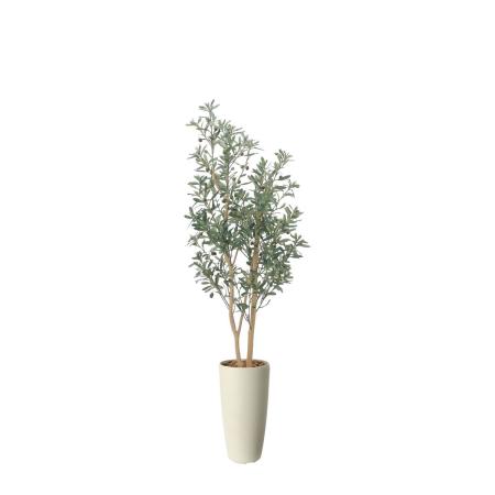 【直送】 【人工観葉植物】光の楽園/光触媒 スリムオリーブ1.6/2519R400 ※返品・代引・キャンセル不可