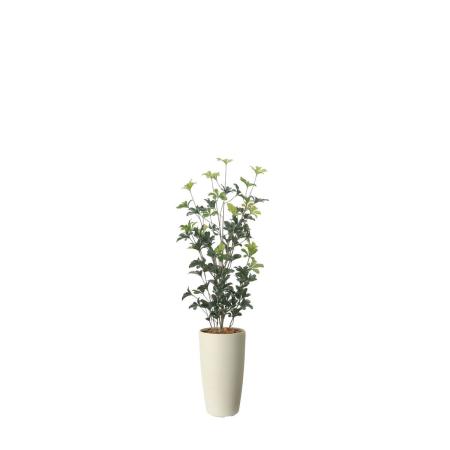 【直送】 【人工観葉植物】光の楽園/光触媒 スリムシェフレラ1.3(ポリ製)/2532R280 ※返品・代引・キャンセル不可