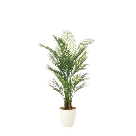 【直送】 【人工観葉植物】光の楽園/光触媒 アレカパーム1.5(ポリ製)/2108R420 ※返品・代引・キャンセル不可