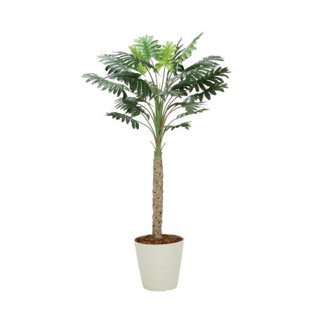 【直送】 【人工観葉植物】光の楽園/光触媒 セロ—ム1.8/2312A300 ※返品・代引・キャンセル不可