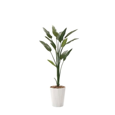 【直送】 【人工観葉植物】光の楽園/光触媒 ストレチア1.6/729R300 ※返品・代引・キャンセル不可