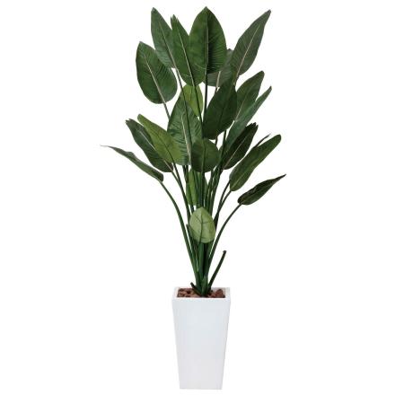 【直送】 【人工観葉植物】光の楽園/光触媒 ストレチアW1.6/409R630 ※返品・代引・キャンセル不可