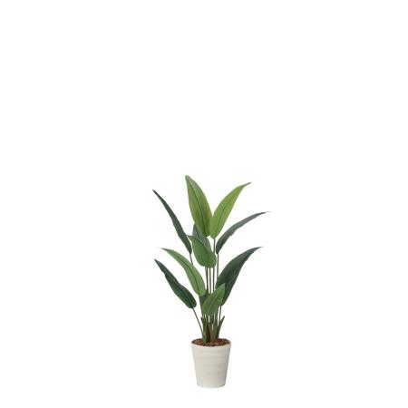 【直送】 【人工観葉植物】光の楽園/光触媒 フレッシュストレチア 1.2/2708A225 ※返品・代引・キャンセル不可