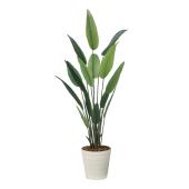 直送】 【人工観葉植物】光の楽園/光触媒 フレッシュストレチア 1.65