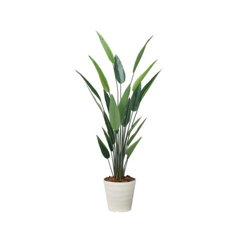 【直送】 【人工観葉植物】光の楽園/光触媒 フレッシュストレチア 1.9/2710A350 ※返品・代引・キャンセル不可