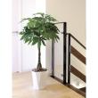 【直送】 【人工観葉植物】光の楽園/光触媒 パキラ1.25/510R360 ※返品・代引・キャンセル不可