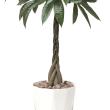 【直送】 【人工観葉植物】光の楽園/光触媒 パキラ1.25/510R360 ※返品・代引・キャンセル不可