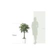【直送】 【人工観葉植物】光の楽園/光触媒 パキラ1.25/510R360 ※返品・代引・キャンセル不可