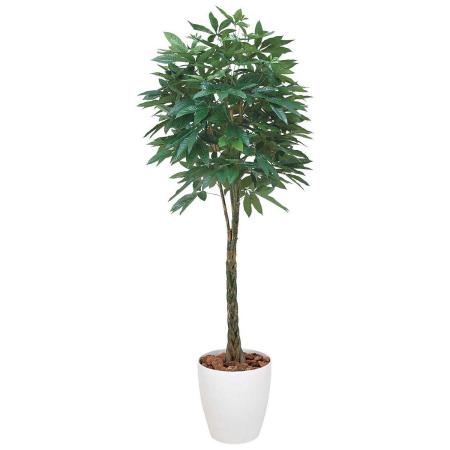 【直送】 【人工観葉植物】光の楽園/光触媒 パキラ 1.6/139R600 ※返品・代引・キャンセル不可