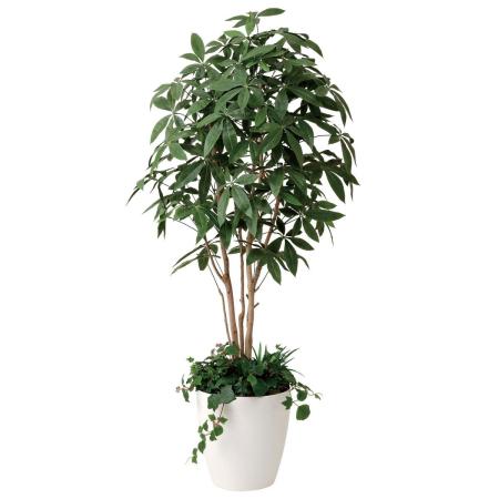 【直送】 【人工観葉植物】光の楽園/光触媒 パキラ1.8 植栽付/412P515 ※返品・代引・キャンセル不可