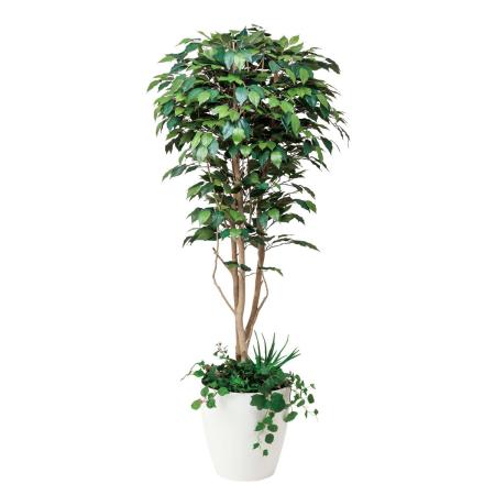 【直送】 【人工観葉植物】光の楽園/光触媒 フィカスベンジャミン1.8植栽付/508F500 ※返品・代引・キャンセル不可