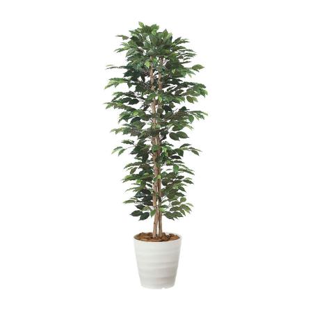【直送】 【人工観葉植物】光の楽園/光触媒 ベンジャミンスリム1.6/356R290 ※返品・代引・キャンセル不可