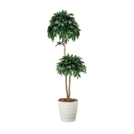 【直送】 【人工観葉植物】光の楽園/光触媒 ベンジャミンダブル 1.6/168R300 ※返品・代引・キャンセル不可