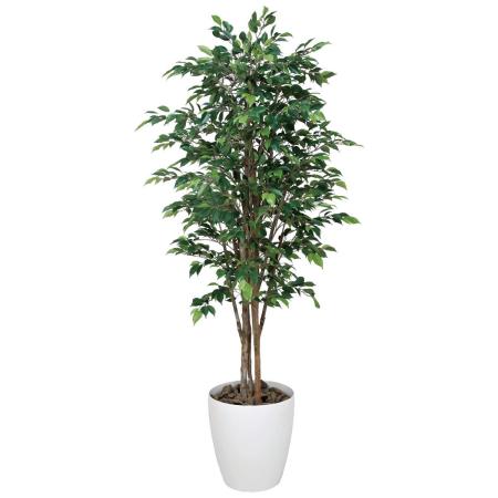 【直送】 【人工観葉植物】光の楽園/光触媒 ベンジャミンダブル 1.8/169R360 ※返品・代引・キャンセル不可