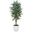 【直送】 【人工観葉植物】光の楽園/光触媒 ベンジャミンダブル 1.8/169R360 ※返品・代引・キャンセル不可
