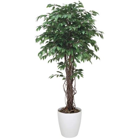 【直送】 【人工観葉植物】光の楽園/光触媒 ベンジャミンリアナ 1.8/152H620 ※返品・代引・キャンセル不可