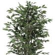 【直送】 【人工観葉植物】光の楽園/光触媒 ベンジャミンツリー 1.8/157R550 ※返品・代引・キャンセル不可