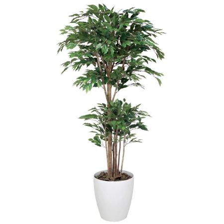 【直送】 【人工観葉植物】光の楽園/光触媒 トロピカルベンジャミン 1.6/161R500 ※返品・代引・キャンセル不可