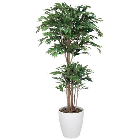 【直送】 【人工観葉植物】光の楽園/光触媒 トロピカルベンジャミン 1.8/162R620 ※返品・代引・キャンセル不可