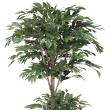【直送】 【人工観葉植物】光の楽園/光触媒 トロピカルベンジャミン 1.8/162R620 ※返品・代引・キャンセル不可