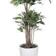 【直送】 【人工観葉植物】光の楽園/光触媒 トロピカルベンジャミン 1.8/162R620 ※返品・代引・キャンセル不可