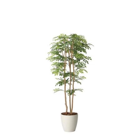 【直送】 【人工観葉植物】光の楽園/光触媒 ツ—トントネリコ1.65/2715A450 ※返品・代引・キャンセル不可