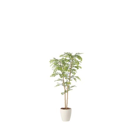 【直送】 【人工観葉植物】光の楽園/光触媒 ライトトネリコ1.3/2430R250 ※返品・代引・キャンセル不可